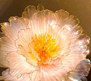 あなたは前世を信じますか？